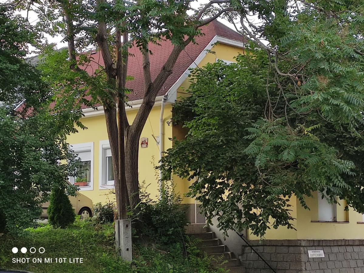 Szitakoeto Apartman Eger Buitenkant foto